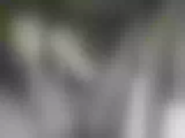 Live sex webcam photo for Lanesra #277803867