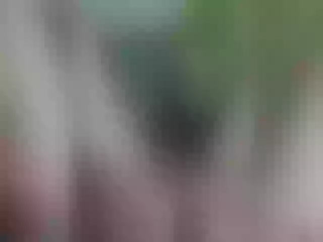 Live sex webcam photo for Lanesra #277821336