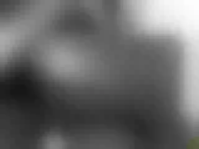 Live sex webcam photo for Lanesra #290775822