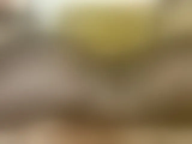Live sex webcam photo for Lanesra #290879698