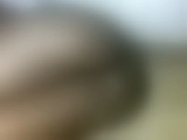 Live sex webcam photo for Lanesra #290885758