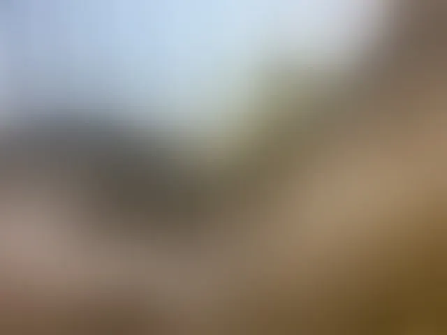 Live sex webcam photo for Lanesra #290889879