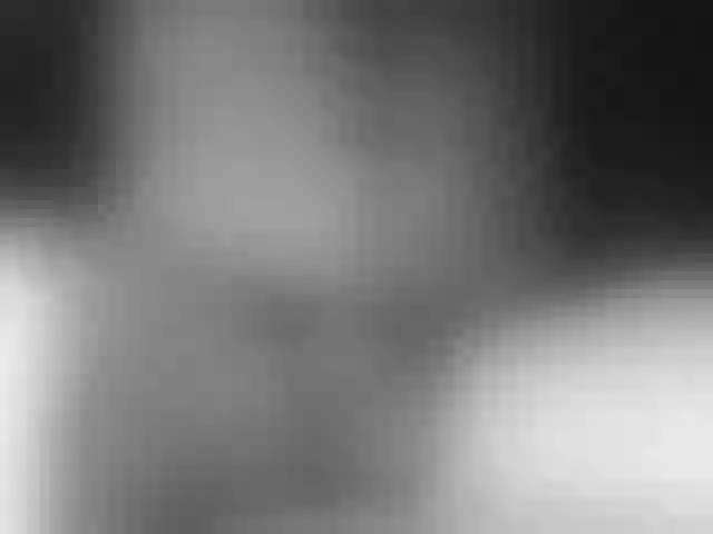 Live sex webcam photo for LapijARG #291375562