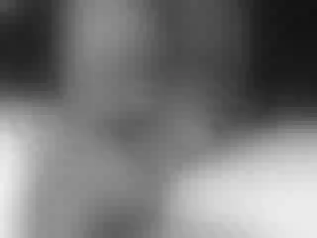 Live sex webcam photo for LapijARG #291404916