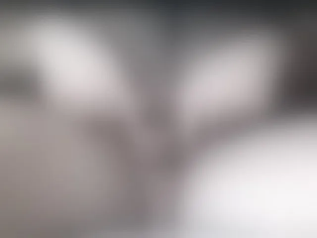 Live sex webcam photo for LapijARG #291511963
