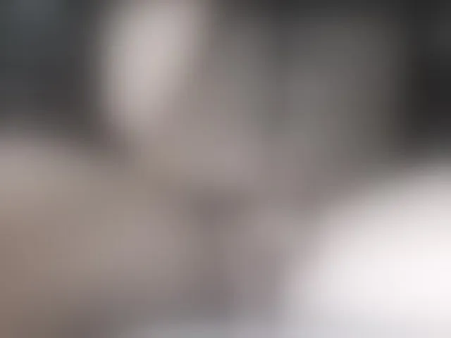 Live sex webcam photo for LapijARG #291605673