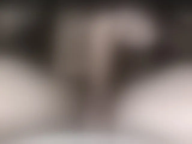 Live sex webcam photo for LapijARG #291615183