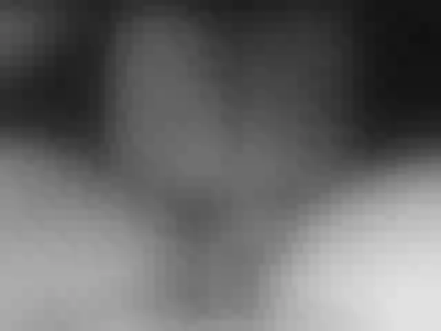 Live sex webcam photo for LapijARG #291664824