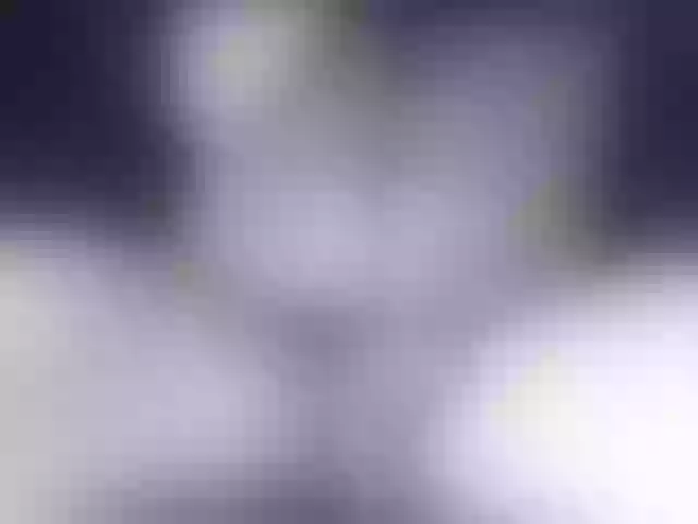 Live sex webcam photo for LapijARG #291717340