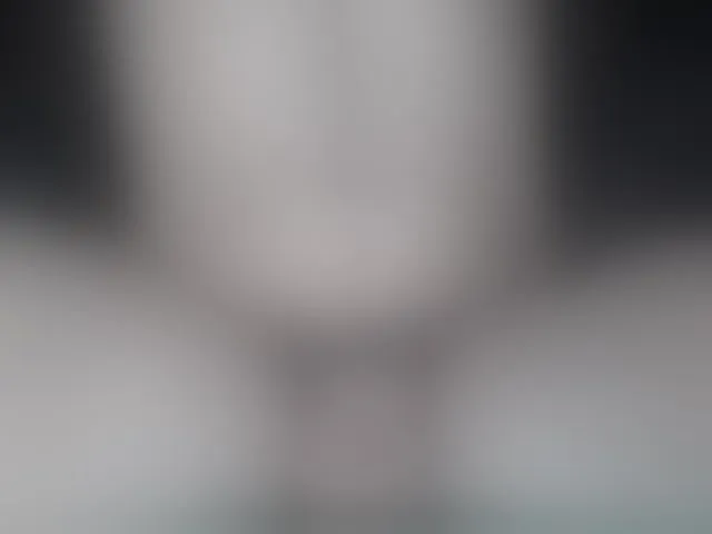 Live sex webcam photo for LapijARG #292955022