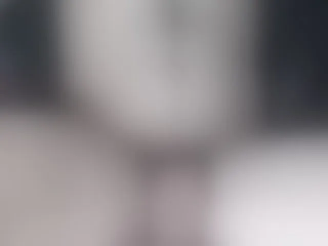 Live sex webcam photo for LapijARG #293138880