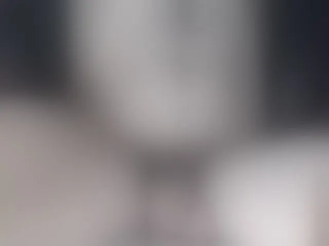 Live sex webcam photo for LapijARG #293152648