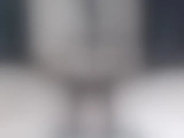Live sex webcam photo for LapijARG #293438716