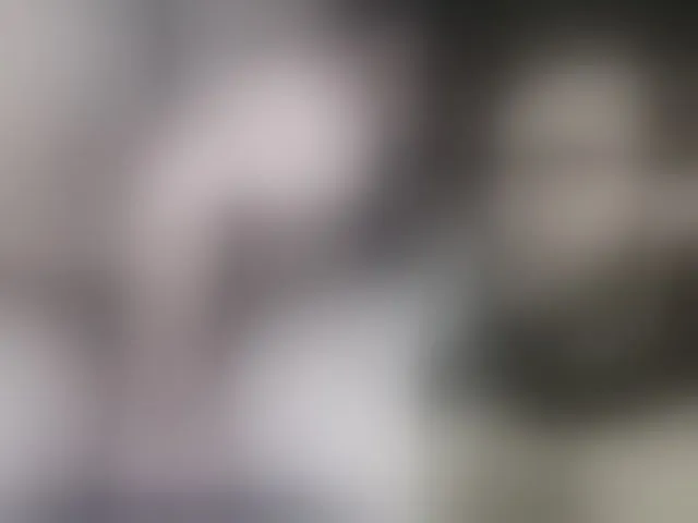 Live sex webcam photo for LapijARG #293631200