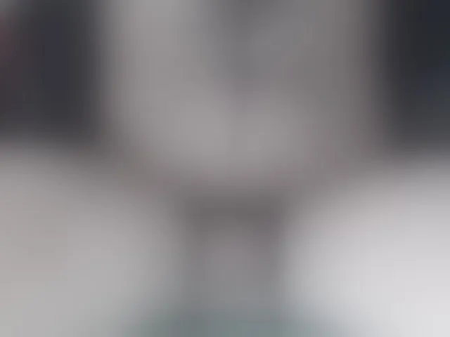 Live sex webcam photo for LapijARG #293748285