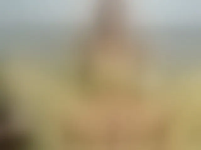 Live sex webcam photo for Lara-Cristan #284545565