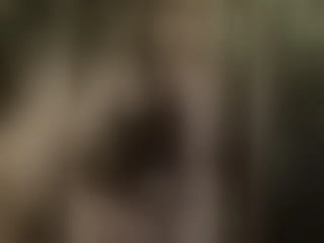 Live sex webcam photo for Lara551 #293519779