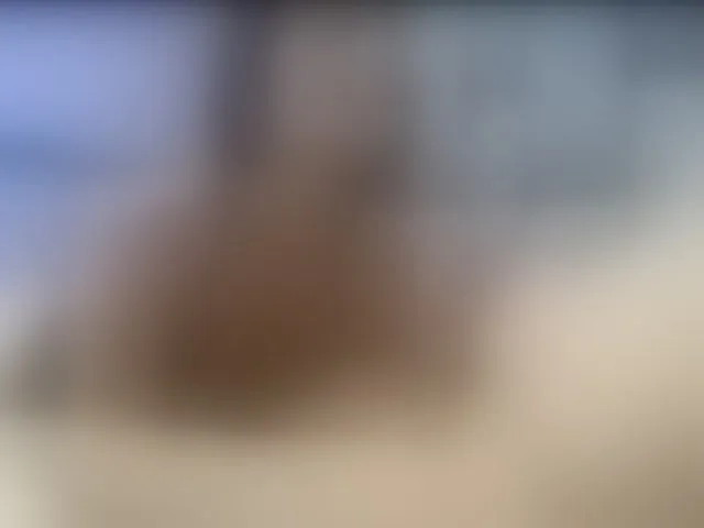 Live sex webcam photo for LaraAndRoger #277058418