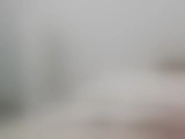 Live sex webcam photo for LaraCat1 #292828948