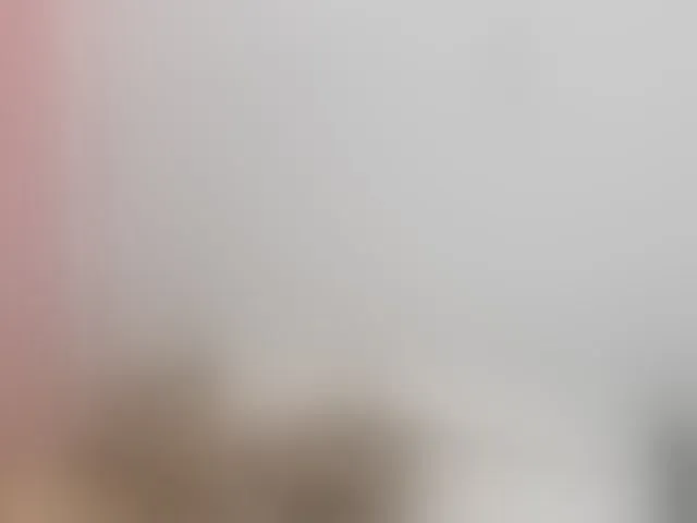 Live sex webcam photo for LaraCat1 #293165893