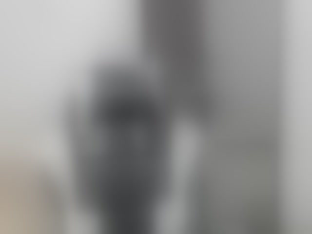 Live sex webcam photo for LaraCat1 #293389183