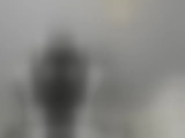 Live sex webcam photo for LaraCat1 #293886826