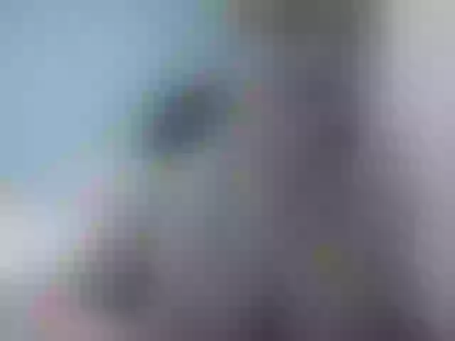 Live sex webcam photo for LaraFire #287913206