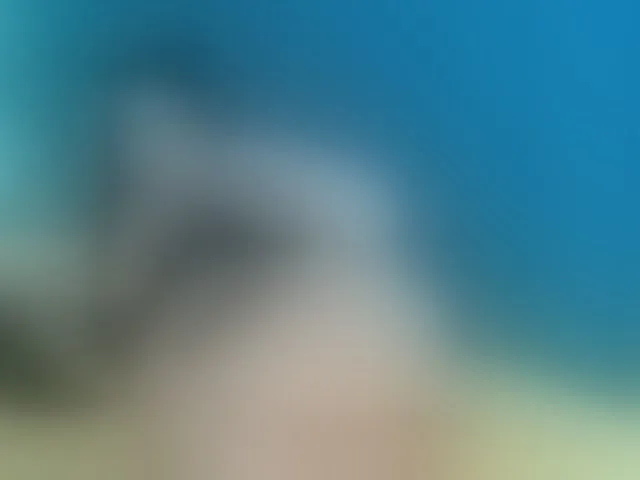 Live sex webcam photo for LaraHartt #293427945