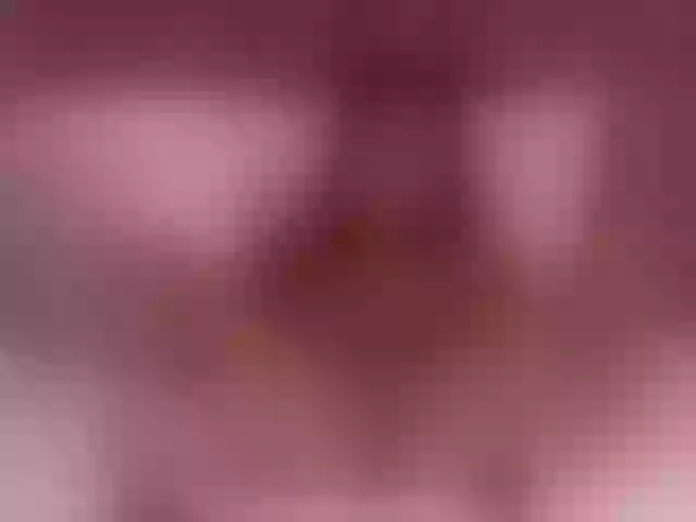 Live sex webcam photo for LaraKennt #291559282