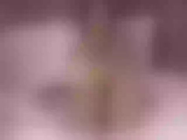 Live sex webcam photo for LaraKennt #291664900