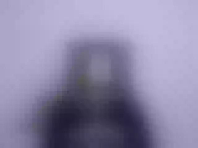 Live sex webcam photo for Lasey #292078572