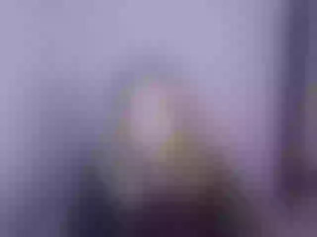 Live sex webcam photo for Lasey #292240801