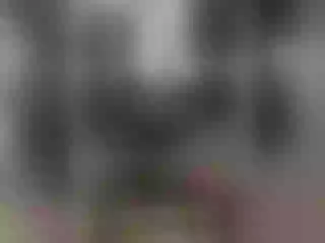 Live sex webcam photo for Laskikakvskaz #276833687