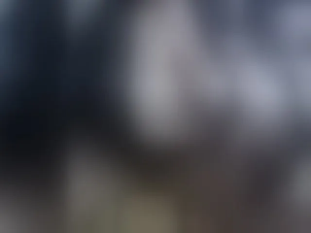 Live sex webcam photo for Laskikakvskaz #278211088