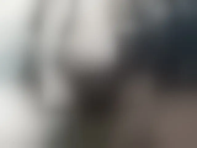 Live sex webcam photo for Laskikakvskaz #290817747
