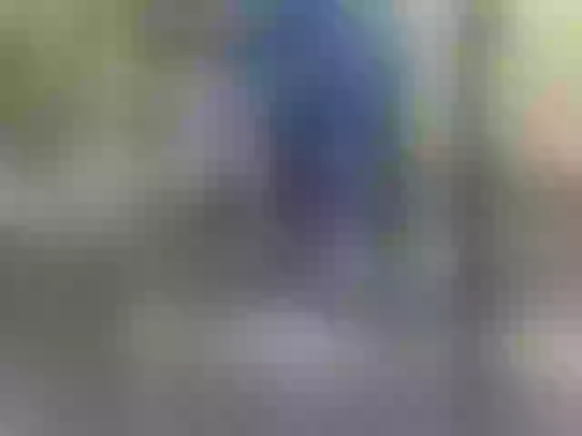 Live sex webcam photo for Laskikakvskaz #291693885