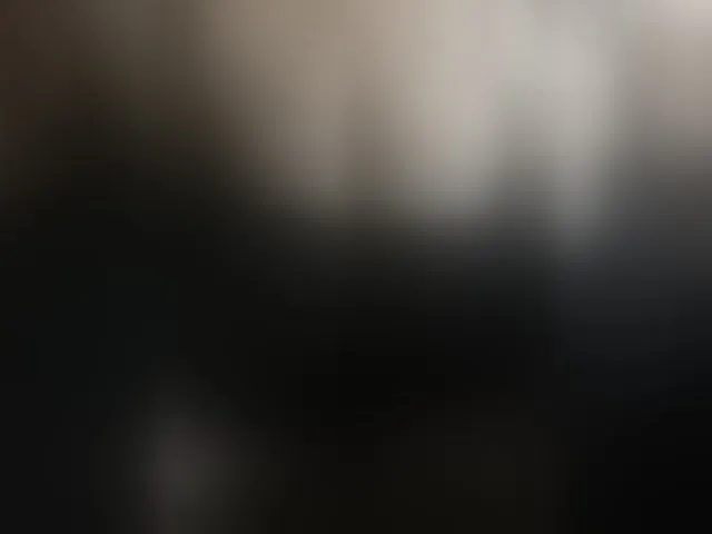 Live sex webcam photo for Laskikakvskaz #293798615