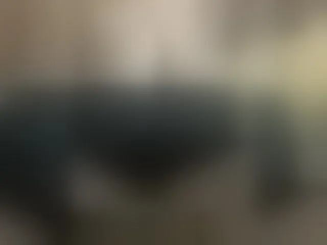 Live sex webcam photo for Laskikakvskaz #293928535