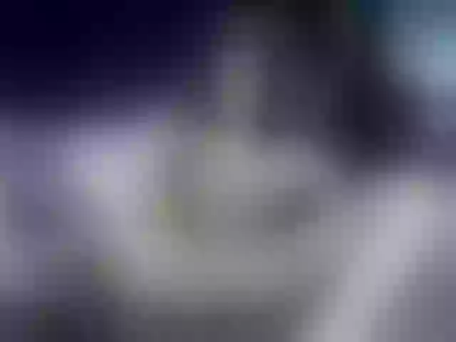 Live sex webcam photo for LauraColour #289679182