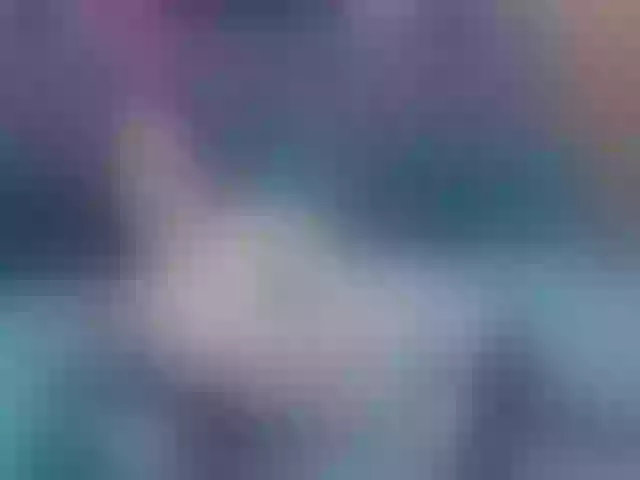 Live sex webcam photo for LauraSinFull #291877196