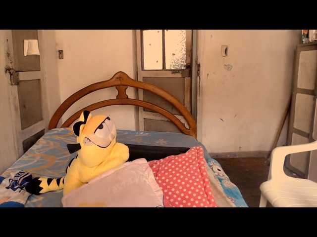 Live sex webcam photo for Lauramoon38 #272035085