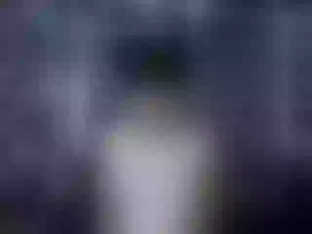Live sex webcam photo for LaureenMoon #290728447