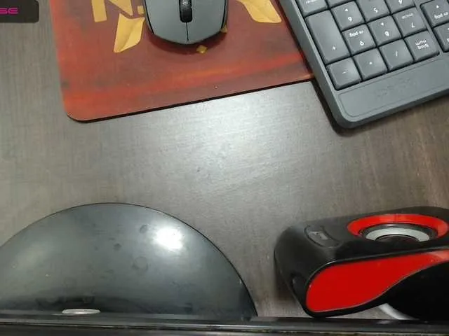 Live sex webcam photo for LaurenBritt #273093859