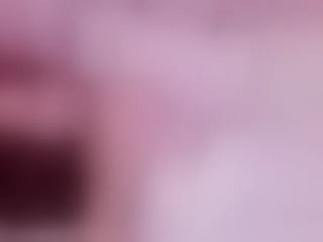 Live sex webcam photo for Laurenbrithe #293243835