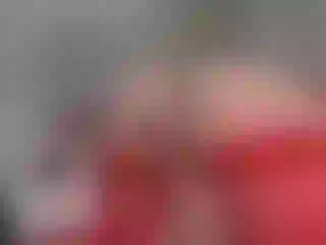 Live sex webcam photo for LaurynCopper #290889164
