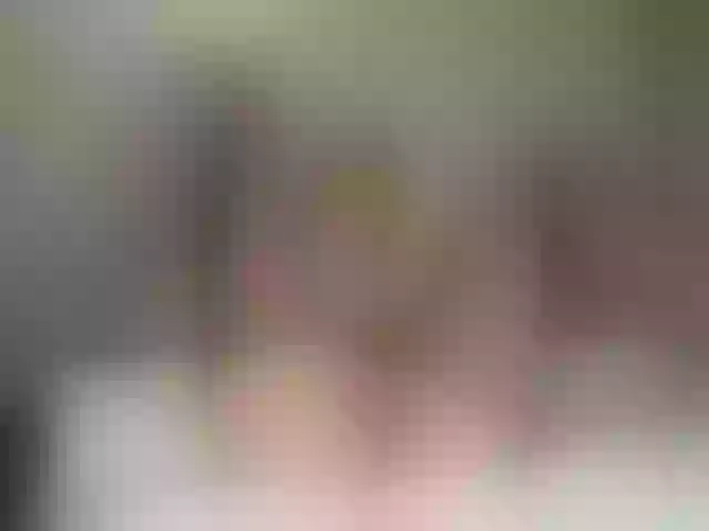 Live sex webcam photo for LaurynCopper #290903062