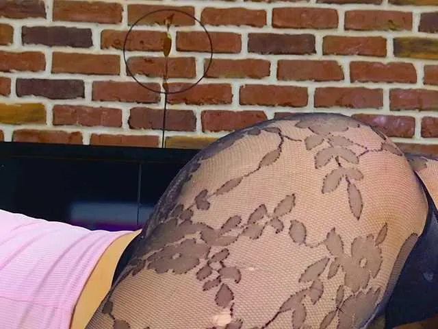 Live sex webcam photo for LaurynCopper #291438012