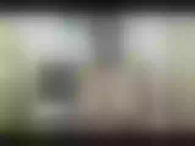 Live sex webcam photo for LeaMoak #272075111