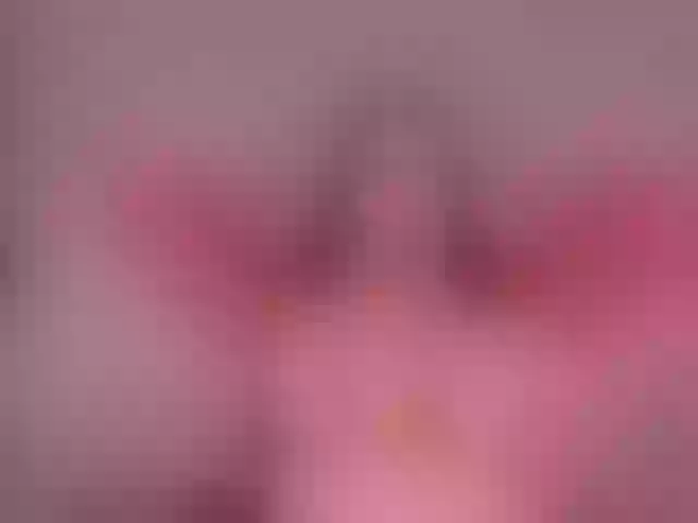 Live sex webcam photo for LeahLombardi #291593816