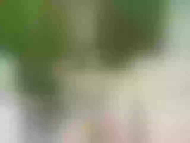 Live sex webcam photo for LeahScott #272780722